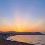 Y & P 라치
