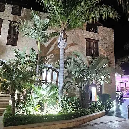 Hotel Y & P *
